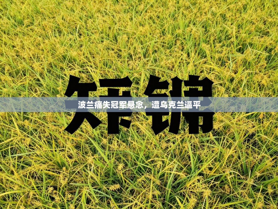 波兰痛失冠军悬念,遭乌克兰逼平