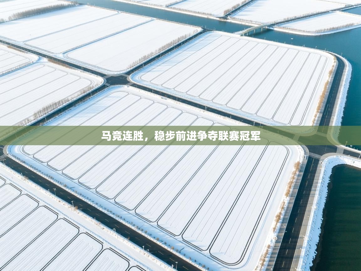 马竞连胜，稳步前进争夺联赛冠军  第2张