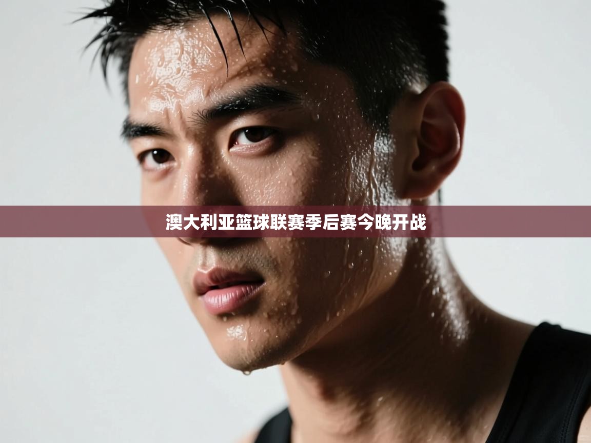 澳大利亚篮球联赛季后赛今晚开战