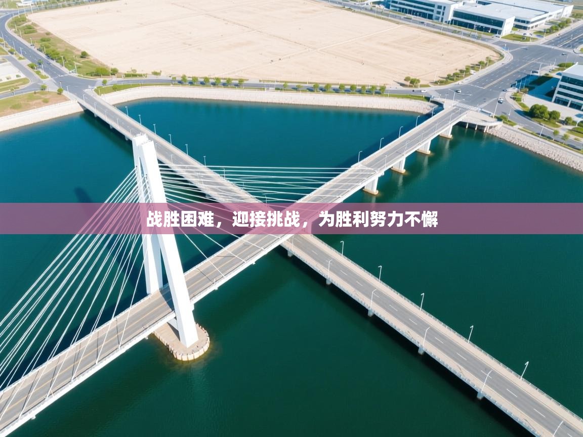 战胜困难,迎接挑战,为胜利努力不懈 第2张